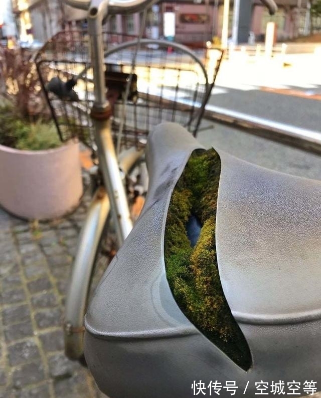 高尔夫球场#30张“活久未见”的照片:被闪电击中的木头,好像一副国画