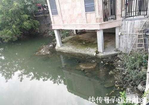 水域|钓鲫鱼涨水和落水时选择钓点，依据下面2点就行了