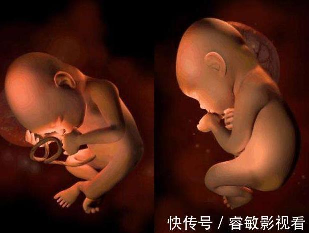 胎动|胎儿总在夜间胎动，可不是胎儿太淘气，背后原因孕妇别大意