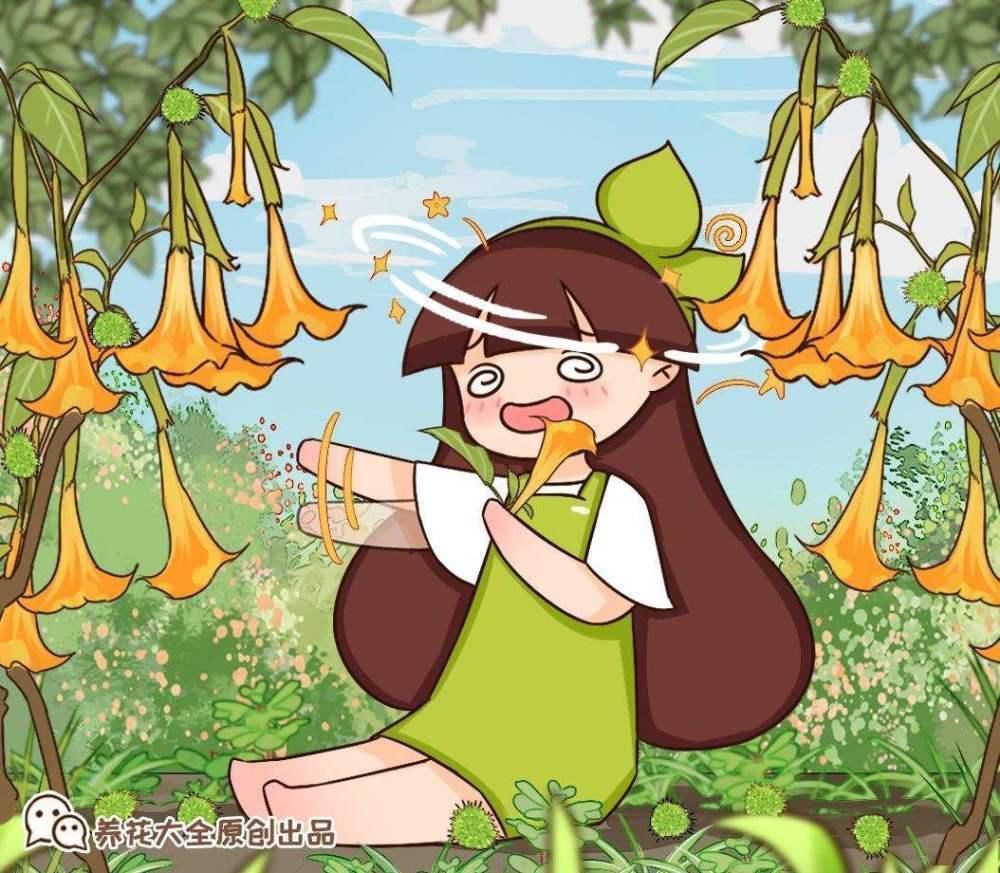 不适合养在室内的花,赶紧搬出去,再漂亮都不要养!