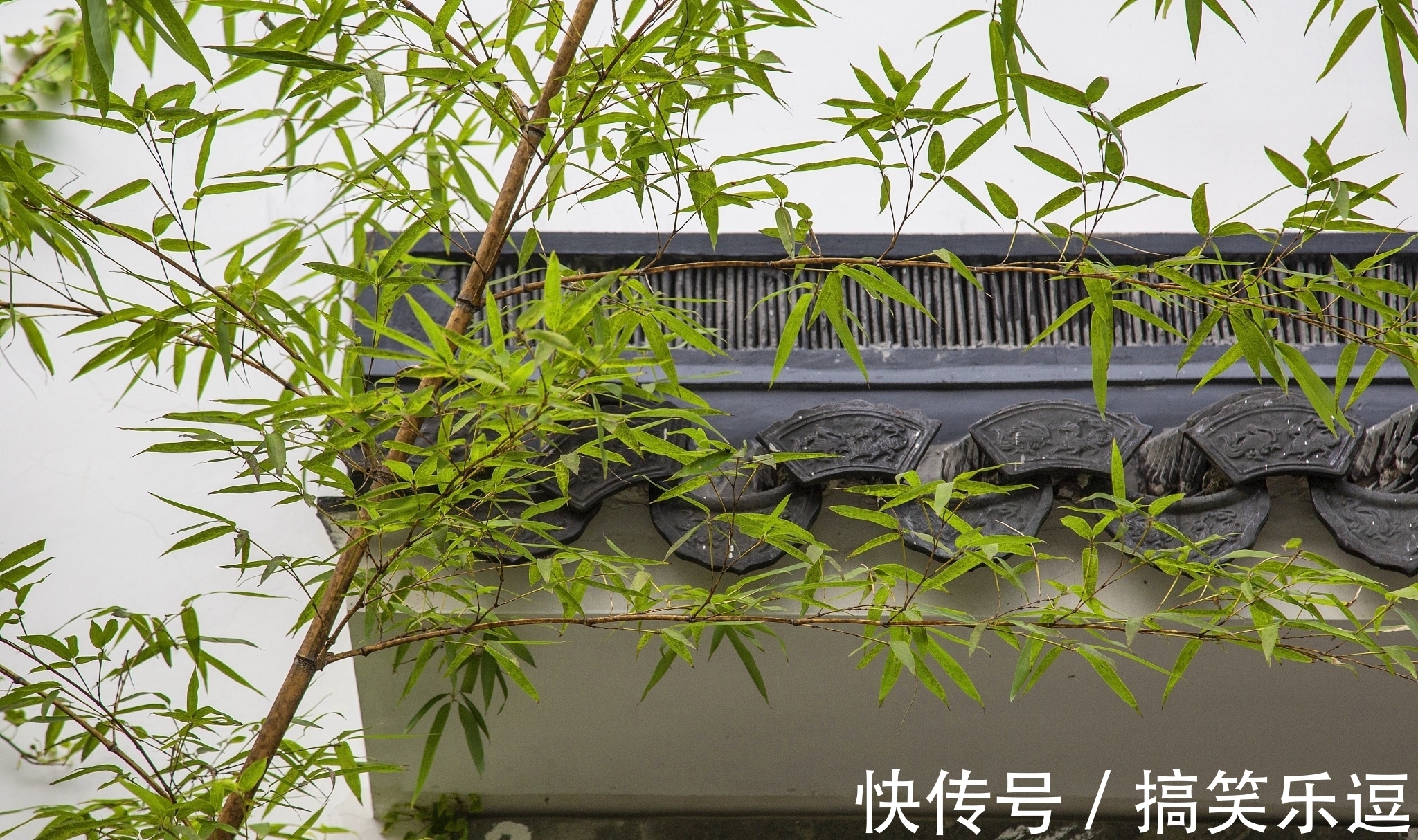 劲节&节入云霄虚若谷,榜称杰俊愧三竿。天府诗人《竹咏》诗词