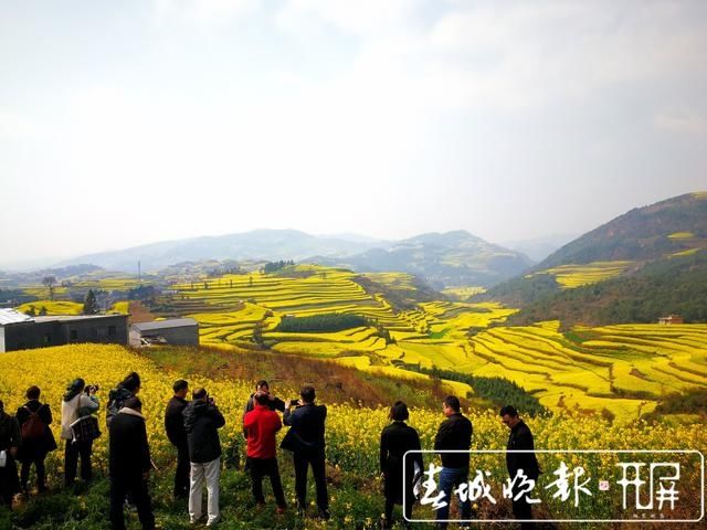 罗平迎来高光时刻 百万亩油菜花开出千万种姿态