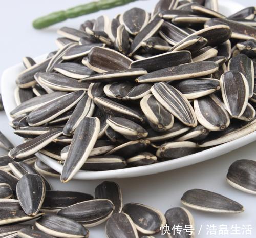 鱼肠|秋冬土里掺点它,君子兰,蟹爪兰,疯狂开花,叶子绿出油