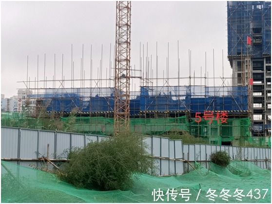 购房者|保定楼市里最爱和青山公爵城做对比的楼盘,上善颐园怎么样