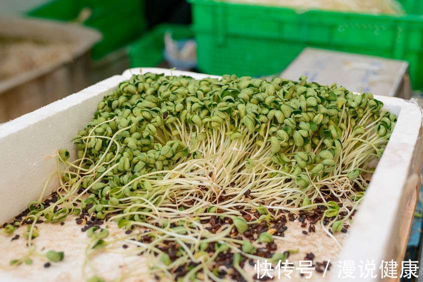 营养成分|春风又绿江南岸!最野的春天,可能就藏在这4道春菜里