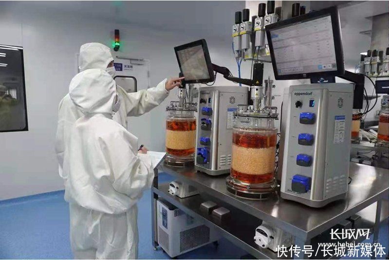 治疗|治疗慢性乙型肝炎 华北制药的口服制剂华异同获批上市