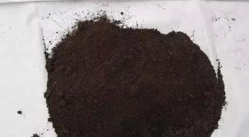 盆栽|3种“有机肥”,随手盆栽“埋”1点,根系缠绕,开花“爆”盆