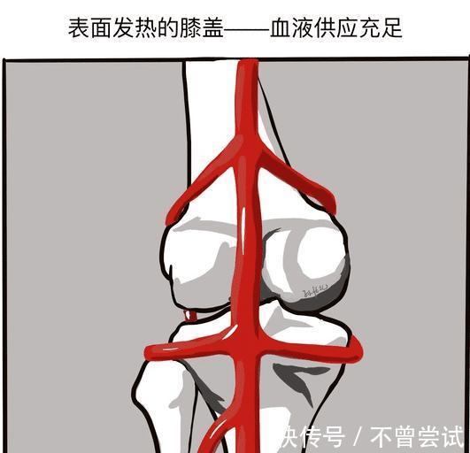 软骨|大家总说跑步伤膝盖,你知道为什么吗?这是因为髌股关节位置紊乱