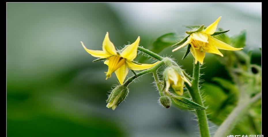 周末|想念那一次周末闲钓