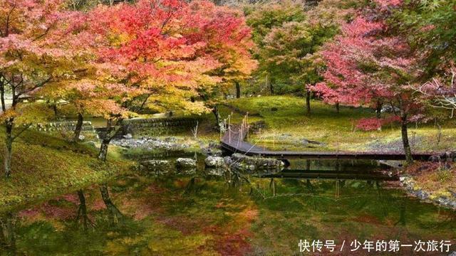 东京近郊除了富士山，还有“梦之吊桥”！小众且唯美，很适合拍照