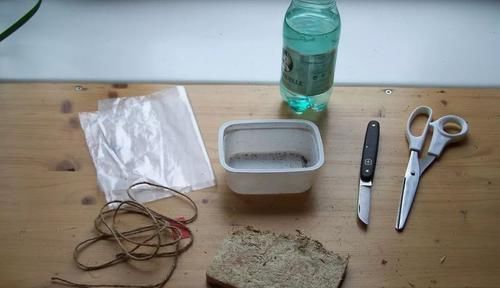 养在家里的木本类观赏盆栽,我用这种方法基本都能繁殖成功