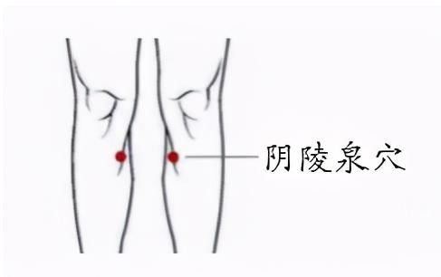 养生|“小暑大暑，上蒸下煮”！小暑过，三伏天到，健康养生要趁热