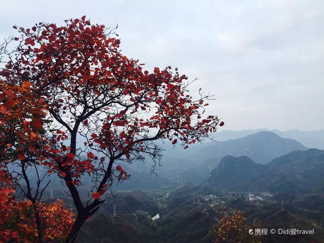 村庄|北京赏秋推荐之韩台村｜人少，免费