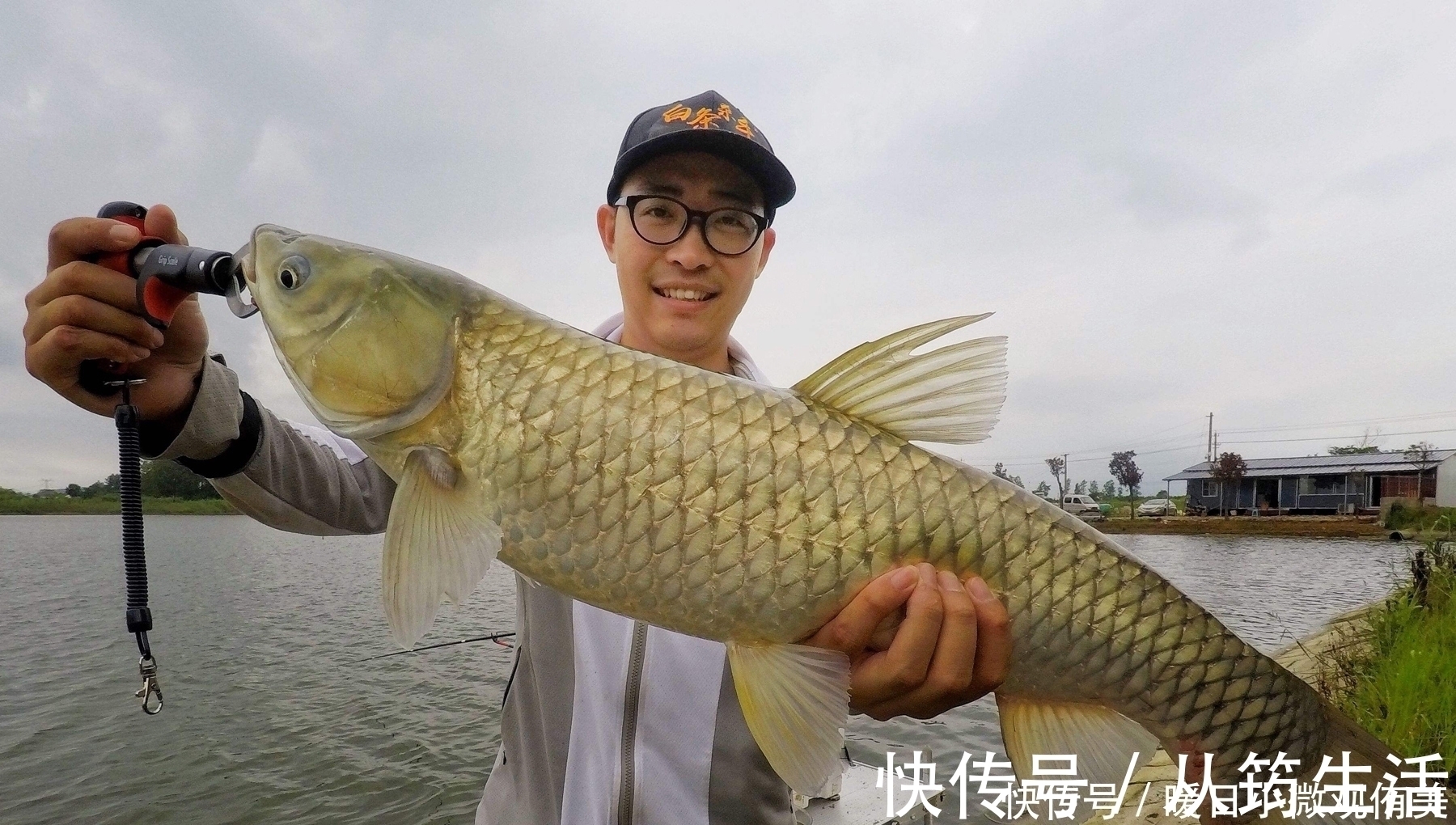 技巧|用什么饵料钓草鱼最有效？草鱼喜欢什么味道？钓草鱼的用饵技巧