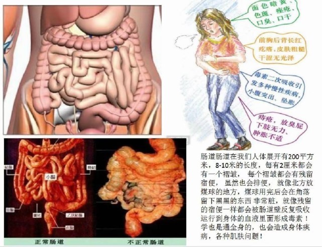 喂养|宝宝的便便一天拉几次才正常？