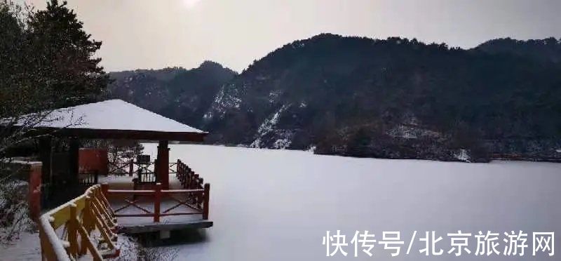 一夜之间|来啦！多图带你看紫禁城瑞雪，还有卖萌的熊猫、嬉戏的老虎~