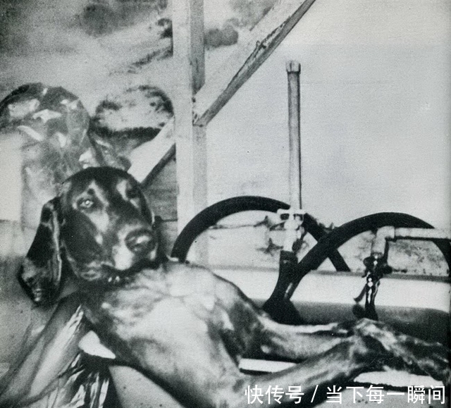 忍俊不禁|18张让人忍俊不禁的老照片