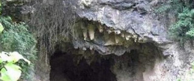 夭折|“白毛女”隐居深山30年,被坏人欺负生2子夭折,经历让人唏嘘