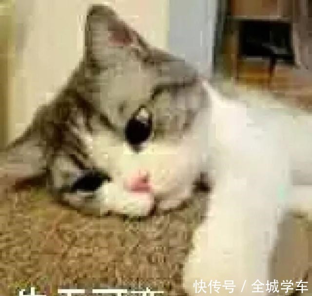 皇妃|末代皇妃文绣哪怕嫁的是皇帝,过得不开心,还不是得离婚