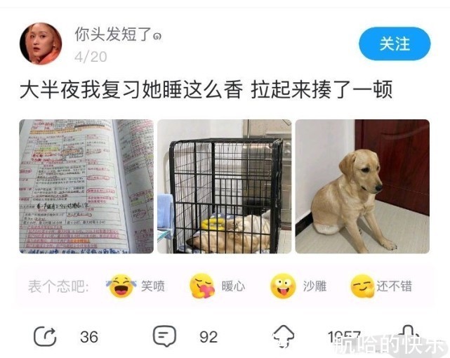 奥特曼|爆笑神评丨奥特曼灭绝了?光消失了?