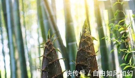 海日!满满全是憧憬和希望的10大诗篇,“江山代有才人出”仅列第六