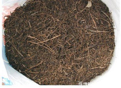 碱性|养花土碱性太大?3个方法轻松解决,养好花不成问题