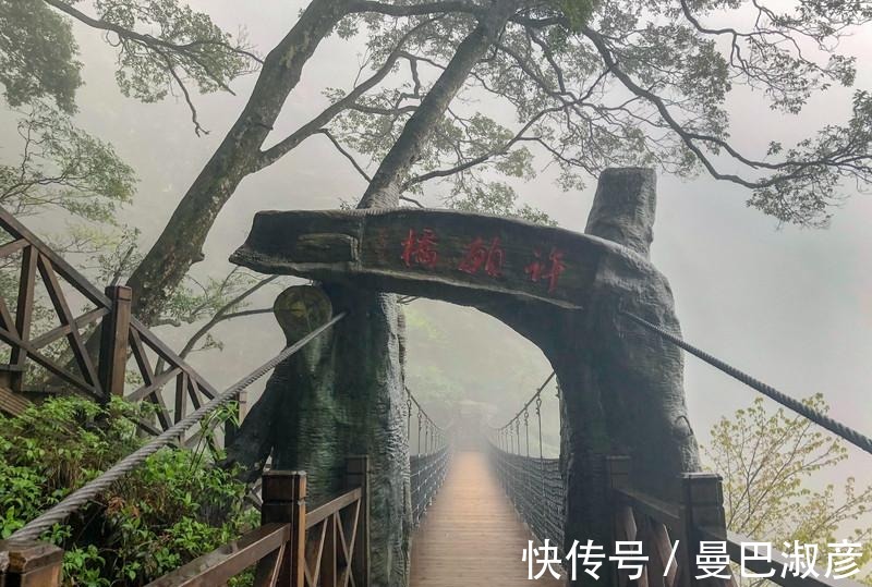 避暑胜地|中国最美的高山草甸，被称为绿色天堂，是著名的避暑胜地