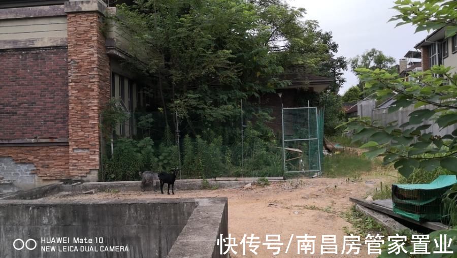 法拍房|井喷式成交!上周南昌法拍房成交60套,或成本月最高成交