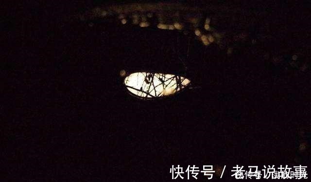 王充@王莽后代,格格不入的学者,提出超前2000年的观点,被埋没的奇人!