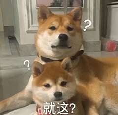 搞笑|微信搞笑表情包|有猪!我不说是谁