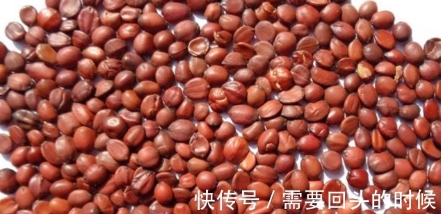 入睡|睡眠是免费的“补药”!每晚入睡难,坚持多吃2物,失眠远离你