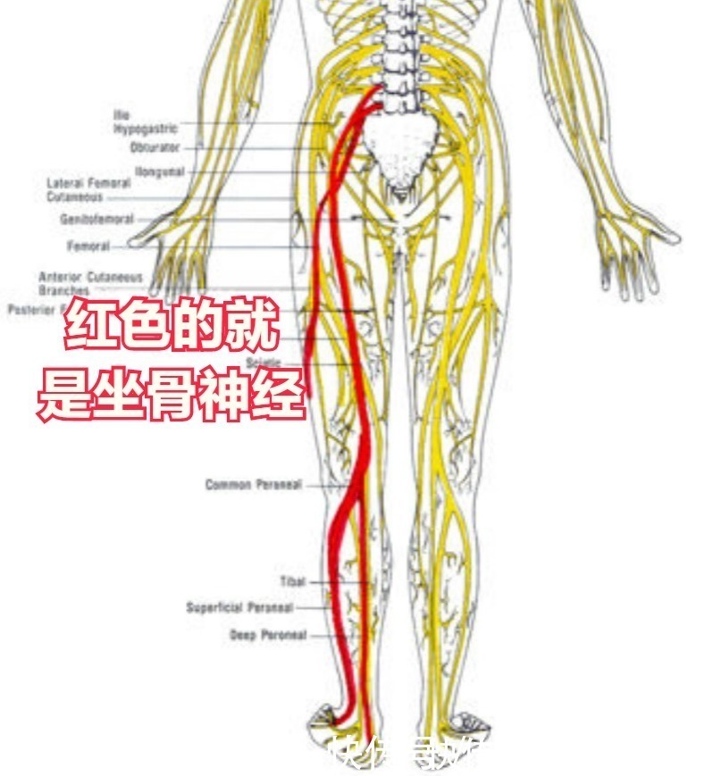 腰腿疼|腰间盘突出压迫神经了,腰腿疼有什么好的治疗方法?医生为您介绍