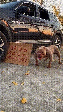 |搞笑gif段子:姑娘这是快要炼成神功了吗