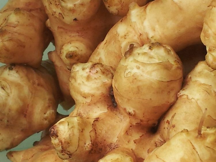 果蔬菜|聪明的人都爱的食物,每天吃一些,生津润燥,润肺排毒,显年轻