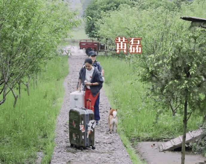 箱子|那英成《向往》最爱摆谱嘉宾,一到就怪罪人,黄磊何炅都招架不住