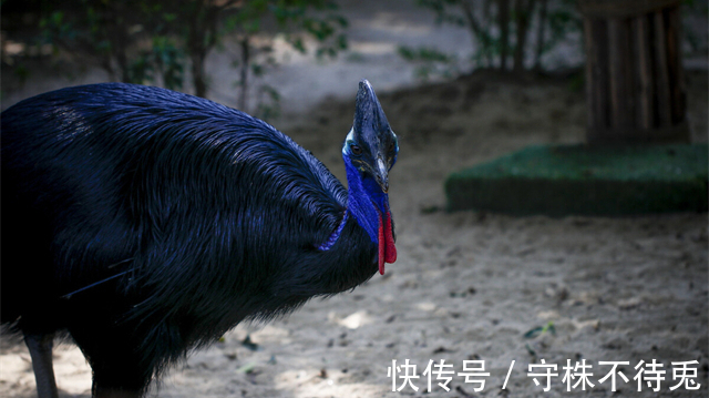 25个冷知识:虽然用到的机会不多,但是可以增加谈资的奇怪知识