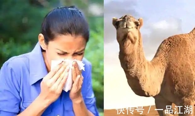 24个冷知识:生物老师看完直呼不可思议,但却真实存在的有趣知识