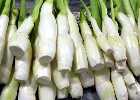 冬天推荐多吃三种食物，补血养颜、改善体质，有益健康