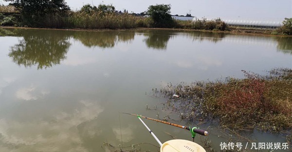 长竿短线|冬钓鲫鱼基本规律,觉得冬季鱼难钓,那是这些基本套路没掌握!