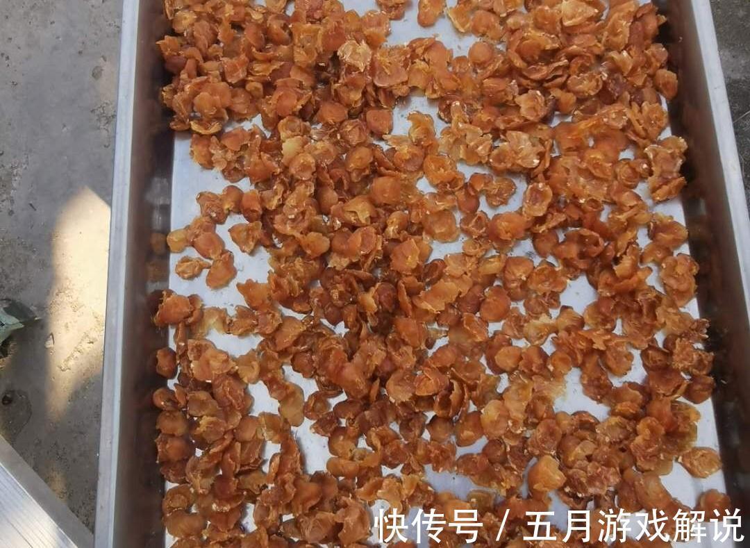 保存龙眼,最好别放冰箱,教你2种好方法,保存时间长,好吃解馋