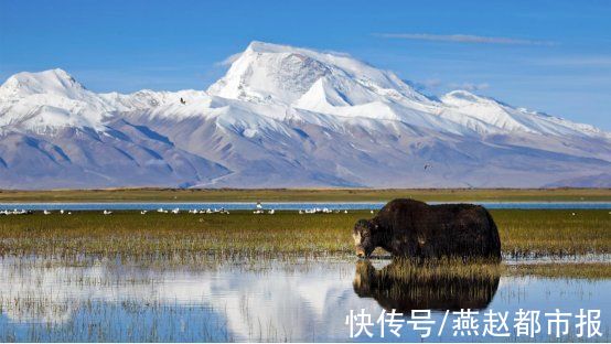 阿里|西藏阿里举办京津冀线上线下旅游推介会