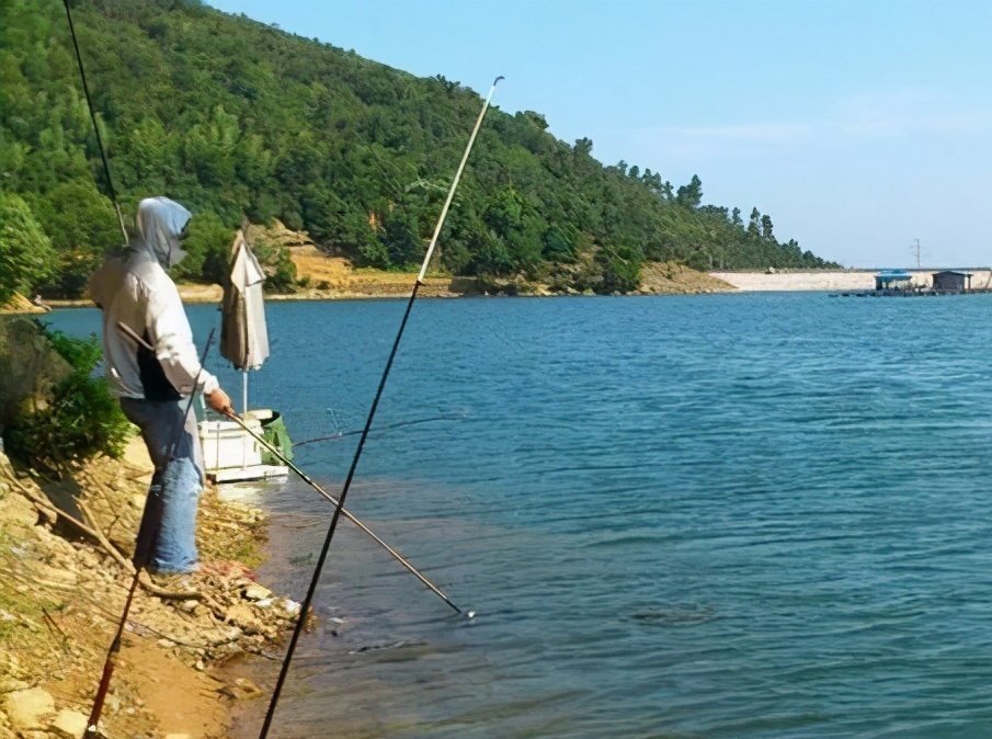 糜子|钓鲤鱼选对饵料才能钓大鱼,饵料按照这样去做,不咬钩都难