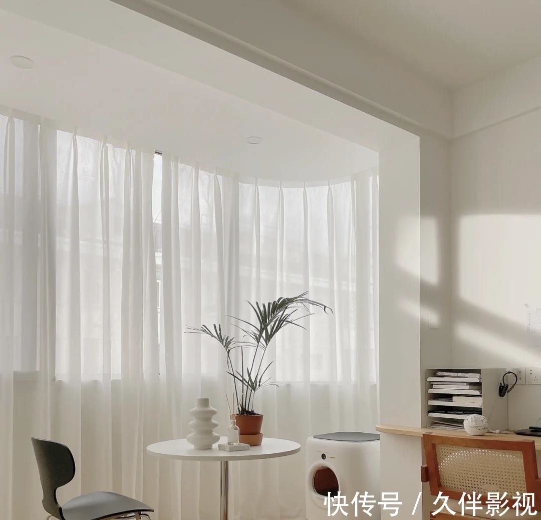 干区|28岁女主与猫55㎡新居,处处干净清爽,井然有序,圈粉无数