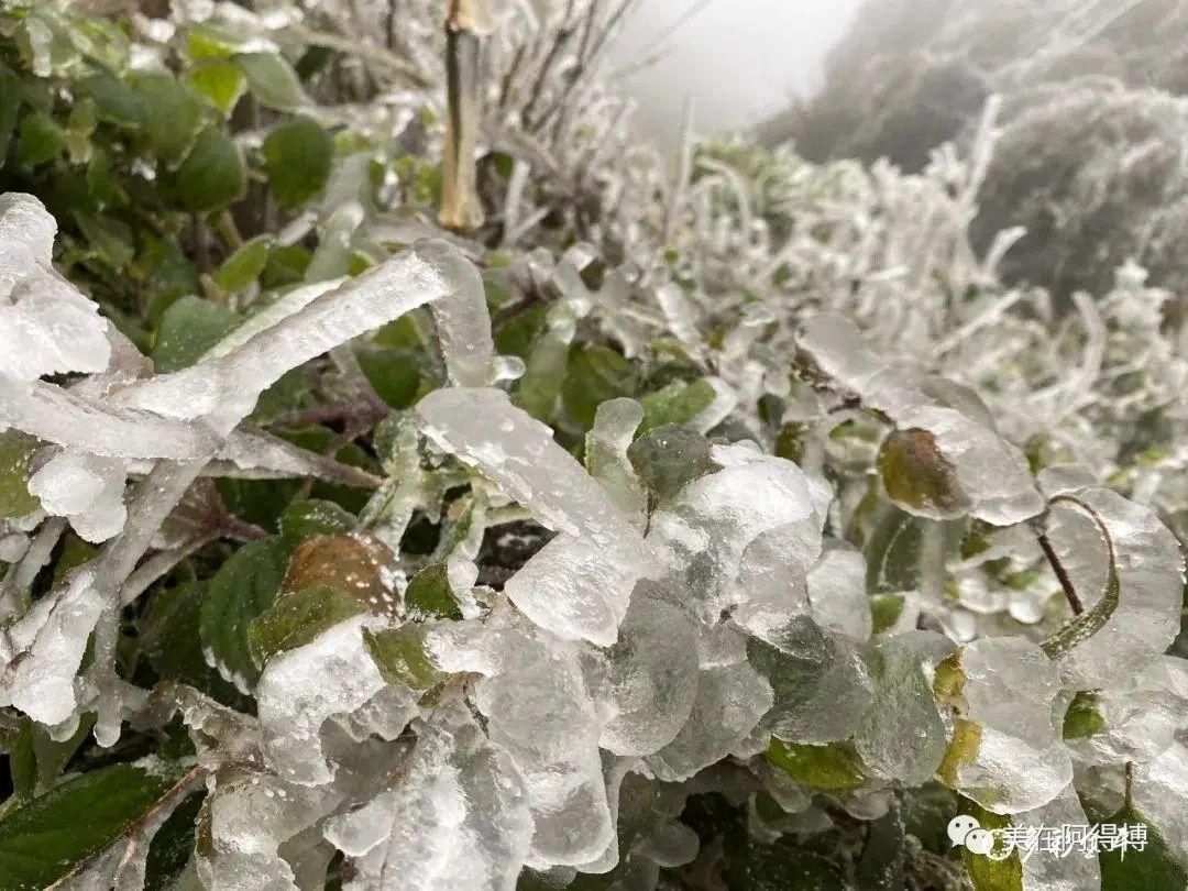 记忆 ｜寒潮再次来袭，还记得前几天的雪吗？