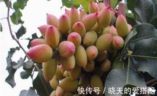 韭菜炒豆腐|对身体很好的3种食物,延缓衰老,滋润肌肤,谁吃谁受益