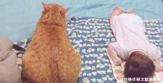 家长|宝宝睡觉喜欢“满床打滚儿”家长弄懂这些原因,让娃睡得更安稳