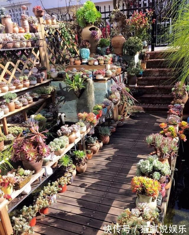 这9种花园，随便1个都美上天了，有一种这辈子就满足了！