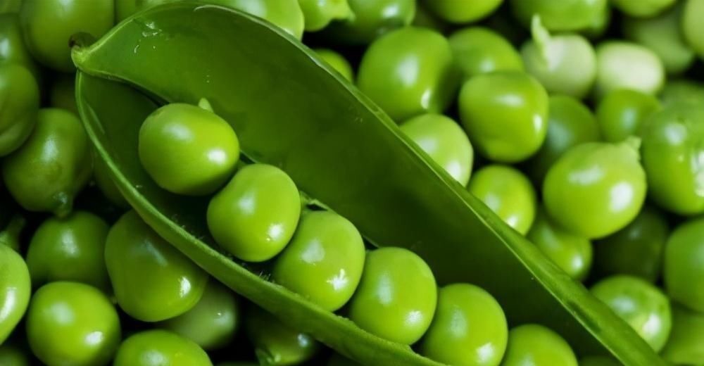 视网膜|会吃的人更长寿，推荐3种食物，清热化痰，润肺止咳，爱吃就赚到