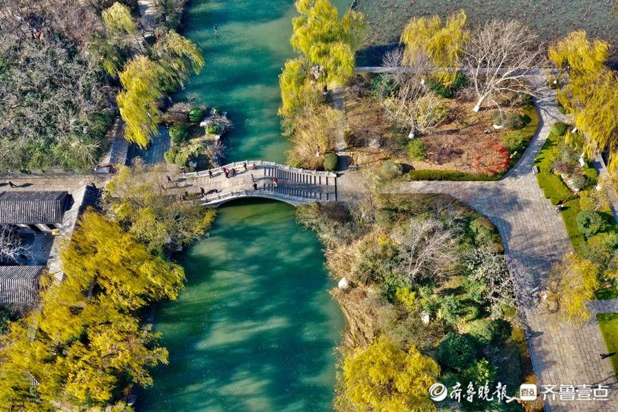 于平松|大明湖的桥造型精美，为景区增添了诸多韵味