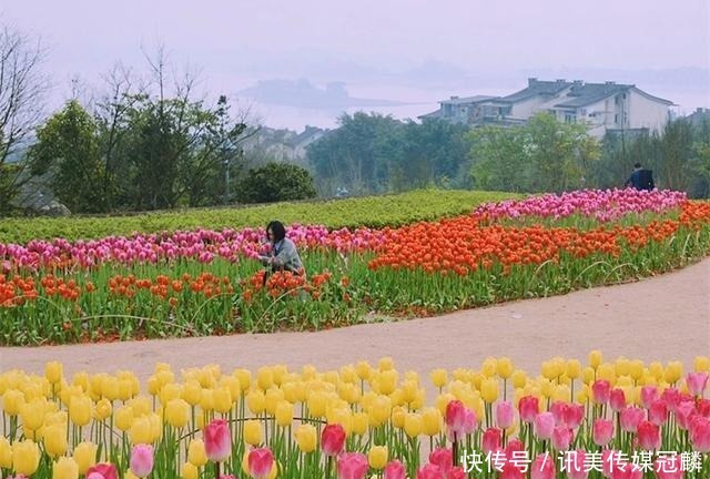 花儿|重庆长寿，春天的景色很迷人吗？